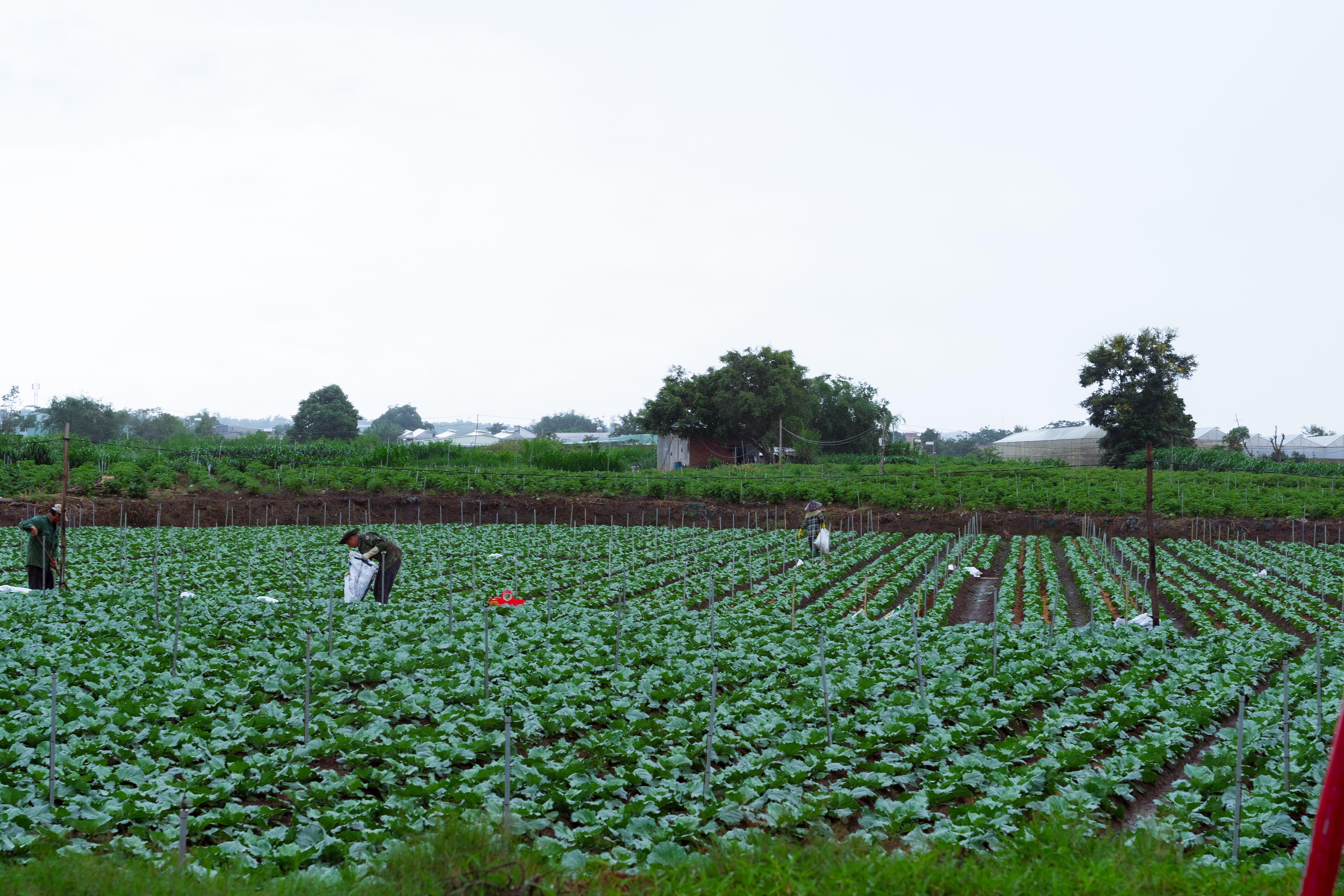 DSC08866.jpg